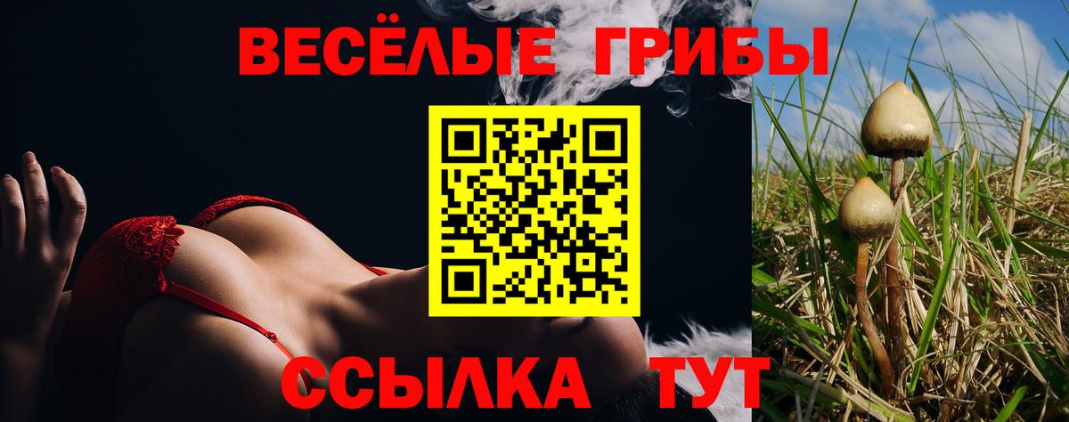 Псилоцибиновые грибы мицелий Черногорск
